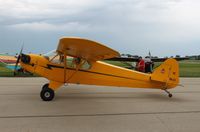 N98413 @ KDKB - Piper J3C-65 - by Mark Pasqualino
