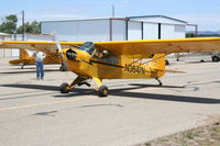 N3647N @ KLPC - Lompoc Piper Cub Fly-in - by Nick Taylor Photography