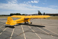 N38447 @ KLPC - Lompoc Piper Cub Fly-in - by Nick Taylor Photography
