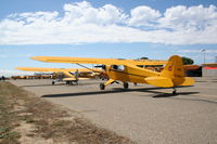 N91967 @ KLPC - Lompoc Piper Cub Fly-in - by Nick Taylor Photography