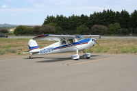 N1826N @ KLPC - Parked at the Lompoc Piper Cub Fly-in - by Nick Taylor Photography