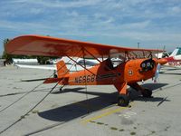 N68686 @ AJO - Ace Baby Ace - by Bryan Allen