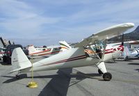 N45488 @ SZP - Luscombe 8A at Santa Paula airport during the Aviation Museum of Santa Paula open Sunday - by Ingo Warnecke