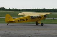 N88175 @ KAXN - Piper J3C-65 Cub taxiing to runway 31. - by Kreg Anderson