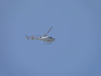 N777CT photo, click to enlarge