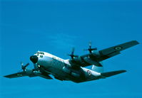 MM61991 photo, click to enlarge MM61991 photo, click to enlarge