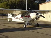 N8226C @ KLPC - On display at the Lompoc Piper Cub Fly-in - by Nick Taylor Photography