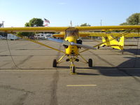 N7116H @ KLPC - On display at the Lompoc Piper Cub Fly-in - by Nick Taylor Photography