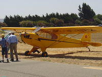 N30472 @ KLPC - On display at the Lompoc Piper Cub Fly-in - by Nick Taylor Photography