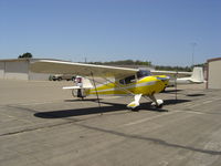 N43689 @ KLPC - On display at the Lompoc Piper Cub Fly-in - by Nick Taylor Photography