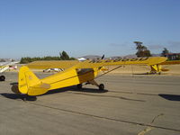 N2865D @ KLPC - On display at the Lompoc Piper Cub Fly-in - by Nick Taylor Photography