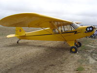 N3624K @ KLPC - On display at the Lompoc Piper Cub Fly-in - by Nick Taylor Photography
