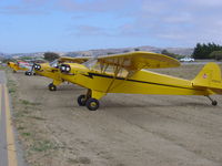 N3627N @ KLPC - On display at the Lompoc Piper Cub Fly-in - by Nick Taylor Photography
