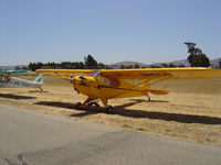 N30472 @ KLPC - On display at the Lompoc Piper Cub Fly-in - by Nick Taylor Photography