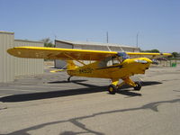 N4159S @ KLPC - On display at the Lompoc Piper Cub Fly-in - by Nick Taylor Photography