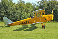 G-ANEM - 1940 De Havilland DH82A TIGER MOTH, c/n: 82943 at Baxterley