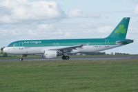 EI-DEA @ EICK - Cork. - by Piotr Tadek Tadeusz