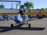 N217S @ KLPC - On display at the Lompoc Piper Cub Fly in - by Nick Taylor Photography