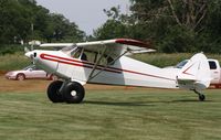 N3497M @ 7V3 - Piper PA-12 - by Mark Pasqualino