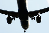 OE-LBT @ LOWL - OE-LBT @ LOWL - by Jan Ittensammer
