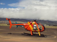 N58252 - On Maui. - by M. Kruzan