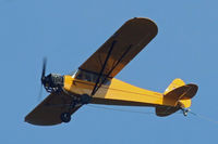 N128DV - Vintage Cub hard at work towing a banner over Point Pleasant beach, NJ - by Daniel L. Berek