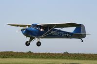 N96275 @ C55 - Taylorcraft BC12-D