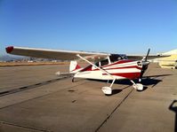 N3544C @ KSDM - 1955 Cessna 170B - by Arash Aryana