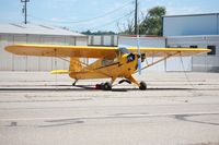 N42478 @ KLPC - Lompoc Piper Cub Fly-in 2011 - by Nick Taylor Photography