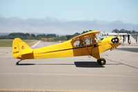 N3496N @ KLPC - Lompoc Piper Cub Fly-in 2011 - by Nick Taylor Photography