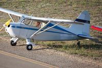 N36796 @ KLPC - Lompoc Piper Cub Fly-in 2011 - by Nick Taylor Photography