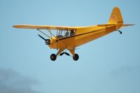 N98425 @ KLPC - Lompoc Piper Cub Fly-in 2011 - by Nick Taylor Photography