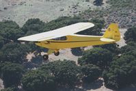 N31786 @ KLPC - Lompoc Piper Cub Fly-in 2011 - by Nick Taylor Photography