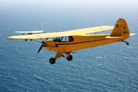 N31786 @ KLPC - Lompoc Piper Cub Fly-in 2011 - by Nick Taylor Photography