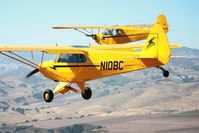 N10BC @ KLPC - Lompoc Piper Cub Fly-in 2011 - by Nick Taylor Photography