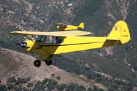 N31786 @ KLPC - Lompoc Piper Cub Fly-in 2011 - by Nick Taylor Photography