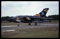 44 65 - Tigermeet 2001, Kleine Brogel. - by olivier Cortot