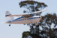N36796 @ KLPC - Landing at West Coast Piper Cub Fly-in 2011 - by Mike Madrid