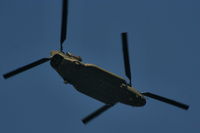 ZH902 photo, click to enlarge