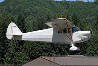N24776 @ 3W5 - This is a rare bird - by Duncan Kirk