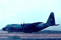XV176 @ LMML - C130 Hercules XV176 RAF - by raymond