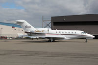 N950QS @ KPAE - KPAE/PAE - by Nick Dean