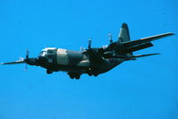 XV213 @ LMML - Hercules XV213 RAF - by raymond