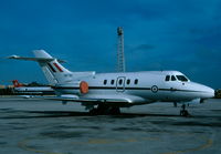 XW790 @ LMML - HS125 XW790 32Sqd RAF - by raymond