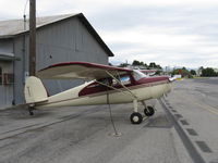 N77275 @ SZP - 1946 Cessna 140, Continental C85 85 Hp - by Doug Robertson