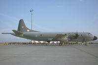 14804 @ LOWW - Portugese Air Force Lockheed P3 Orion - by Dietmar Schreiber - VAP