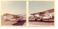 N1260E - We owned 1260E in the late sixties. We kept it part time in Santa Paula and partime at Meadowlark Field in Huntington Beach, CA. Pics taken at SP. - by Harold Becker