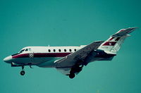 XS709 @ LMML - Dominie XS709/M 6FTS RAF - by raymond