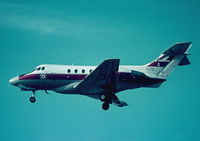 XS712 @ LMML - Dominie XS712/A 6FTS RAF - by raymond