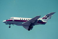 XS730 @ LMML - Dominie XS730/H 6FTS RAF - by raymond